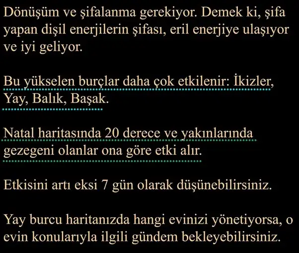 yay24 (8).webp