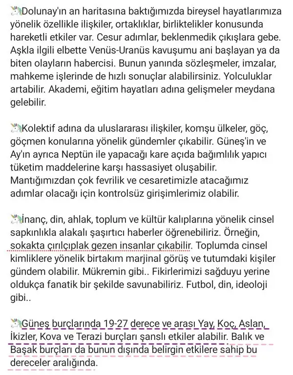 yay25 (2).webp