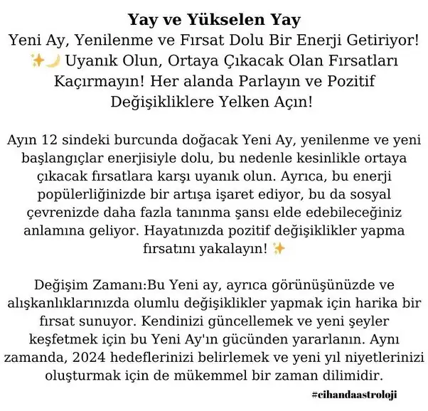 yay26 (10).webp