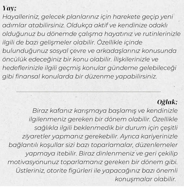 yay42 (6).webp