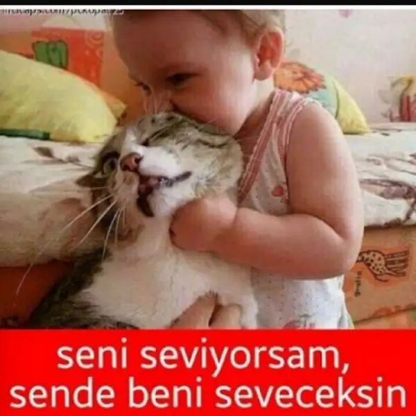 yazarlarin-soylemek-istedikleri_774722_m.webp