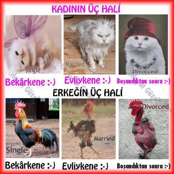 yazili-komik-resimler-183.webp