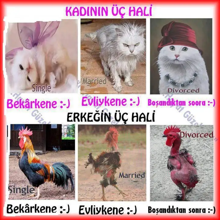 yazili-komik-resimler-183.webp