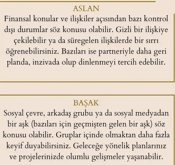 yebn (4).webp