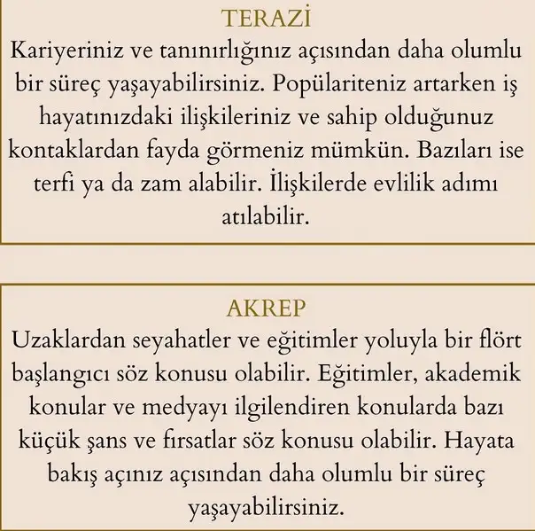 yebn (5).webp