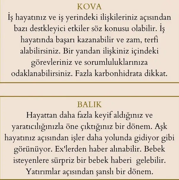 yebn (7).webp