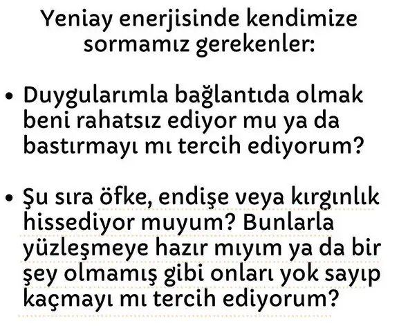 yen10 (4).webp