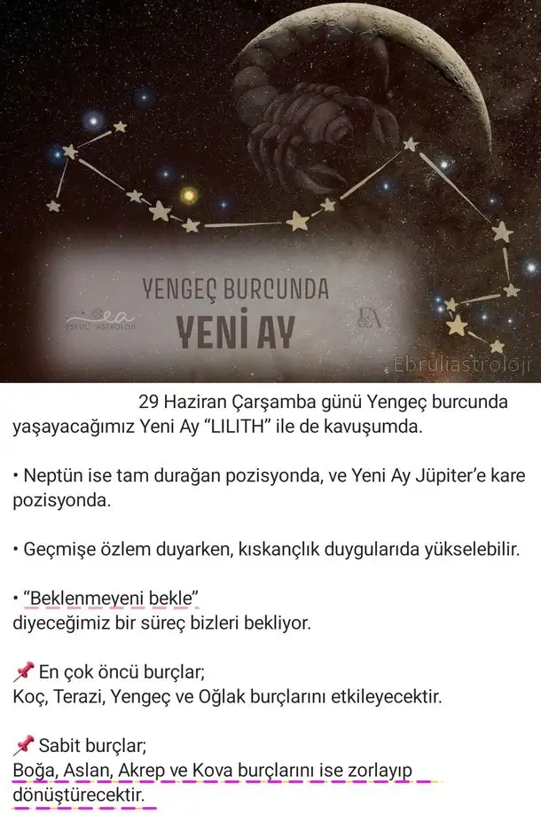 yen11 (1).webp