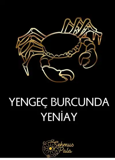 yen12 (1).webp