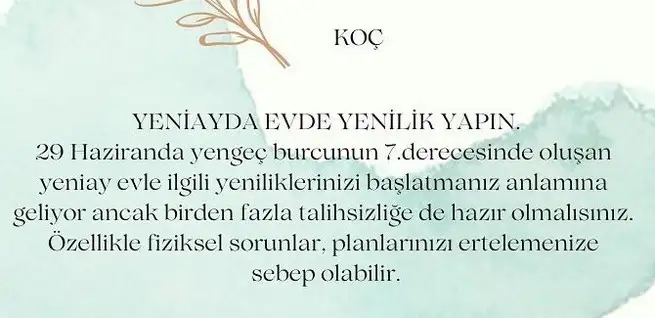 yen17 (2).webp