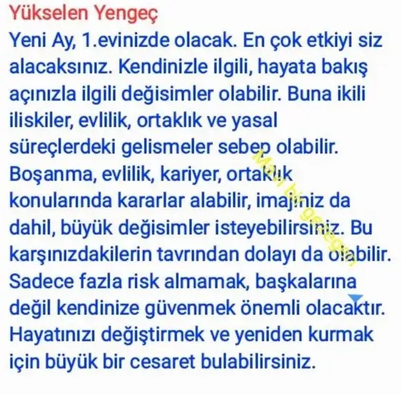 yen17 (4).webp