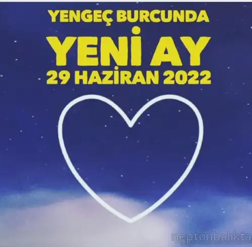 yen19 (1)a.webp