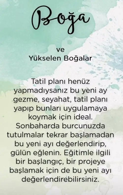yen19 (1)c.webp