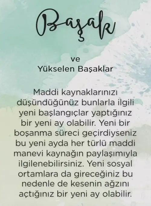 yen19 (4).webp