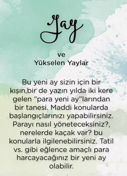 yen19 (7).webp