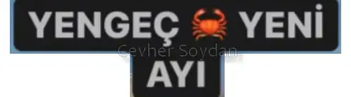 yen26 (2).webp