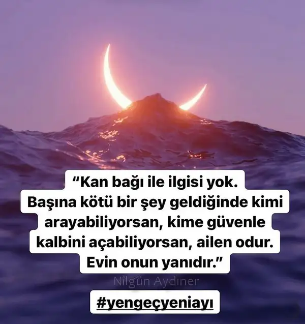 yen40 (1).webp