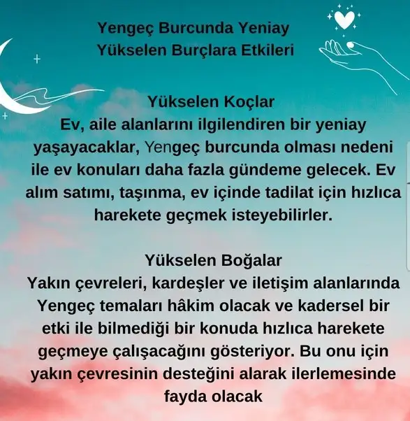 yen6 (1).webp