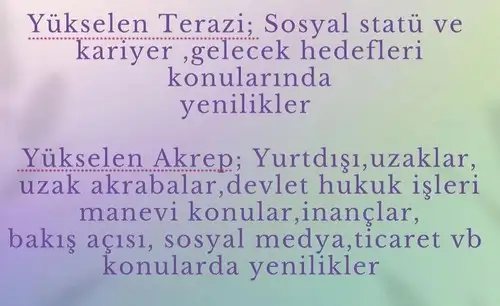 yen9 (4).webp