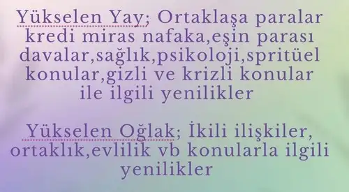 yen9 (5).webp