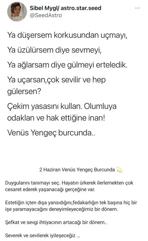 yeng.webp