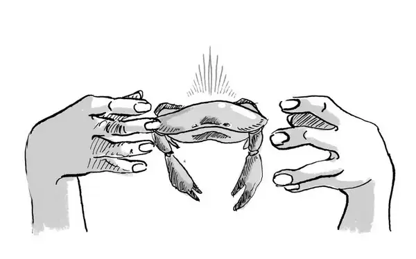 yengeç (1).webp