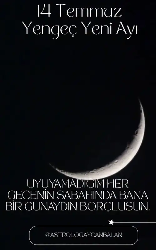 yengeç yeniayı (5).webp