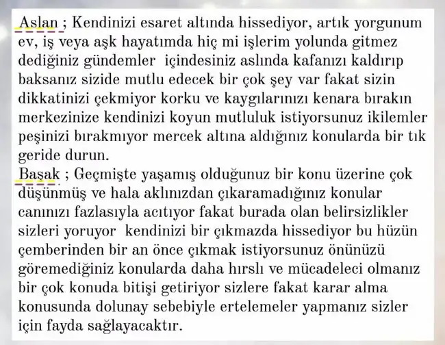 yengec0 (4).webp