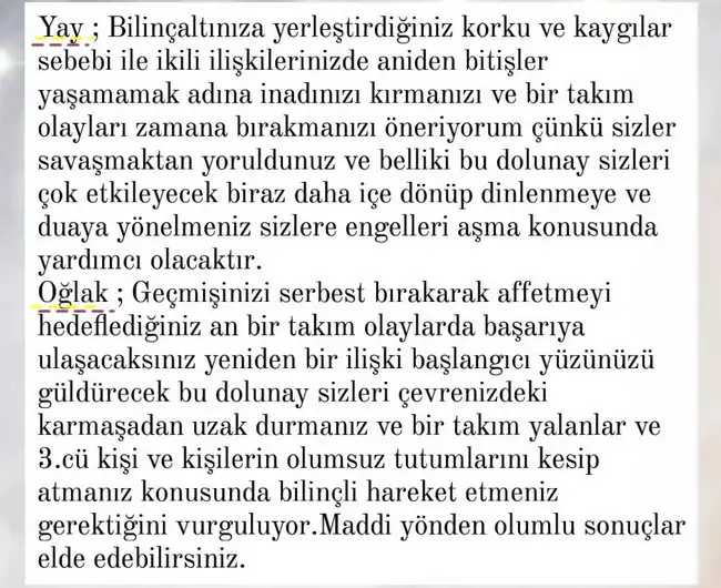 yengec0 (6).webp