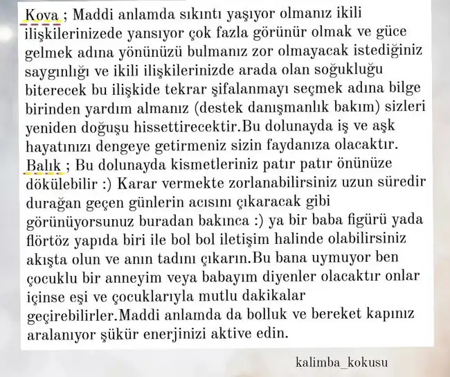 yengec0 (7).webp
