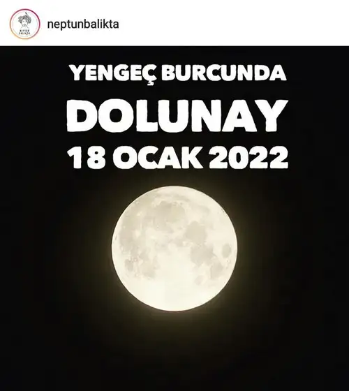 yengeç1 (1).webp