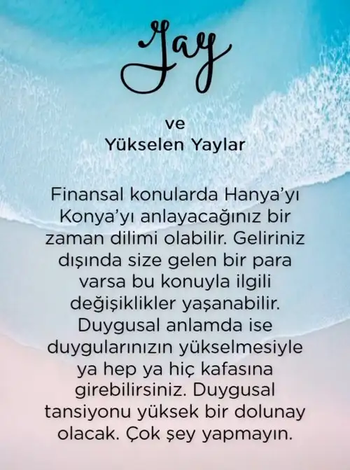 yengeç1 (10).webp