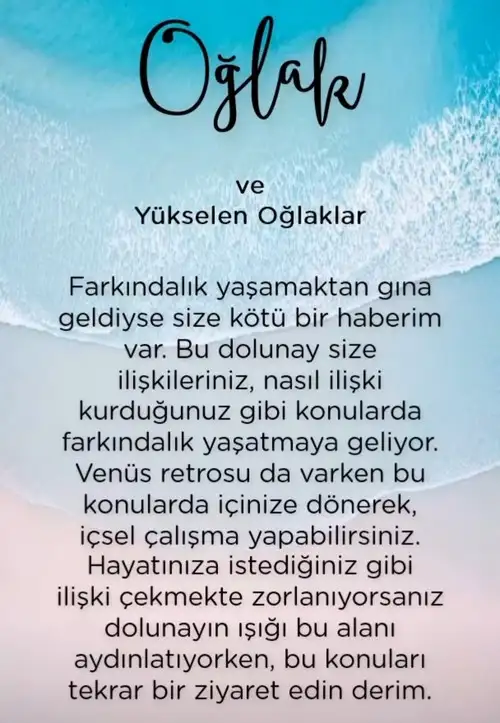 yengeç1 (11).webp