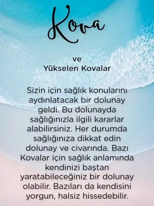 yengeç1 (12).webp