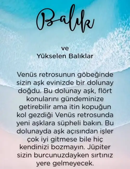 yengeç1 (13).webp