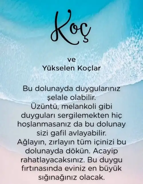 yengeç1 (2).webp