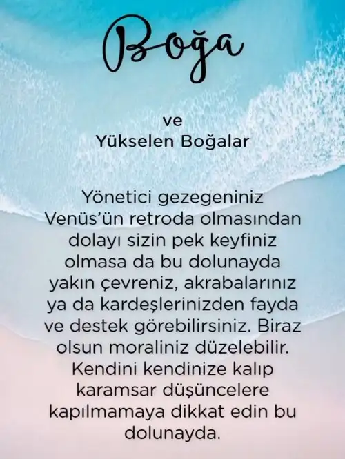 yengeç1 (3).webp