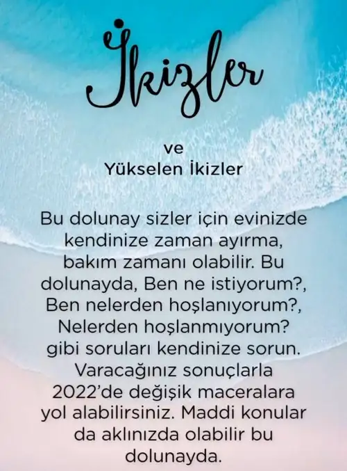 yengeç1 (4).webp