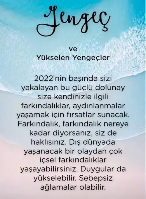 yengeç1 (5).webp