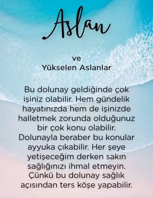 yengeç1 (6).webp