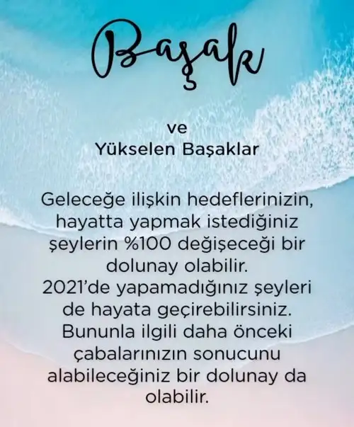 yengeç1 (7).webp