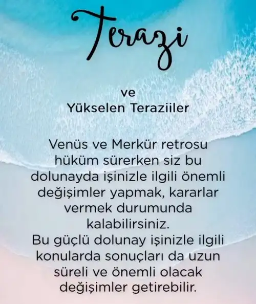 yengeç1 (8).webp