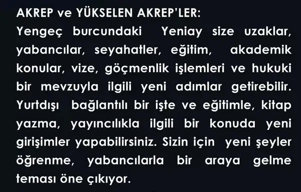 yengeç1 (8).webp