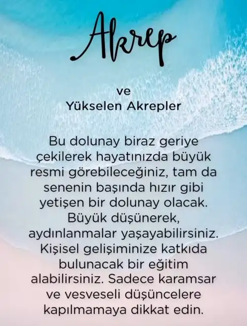 yengeç1 (9).webp