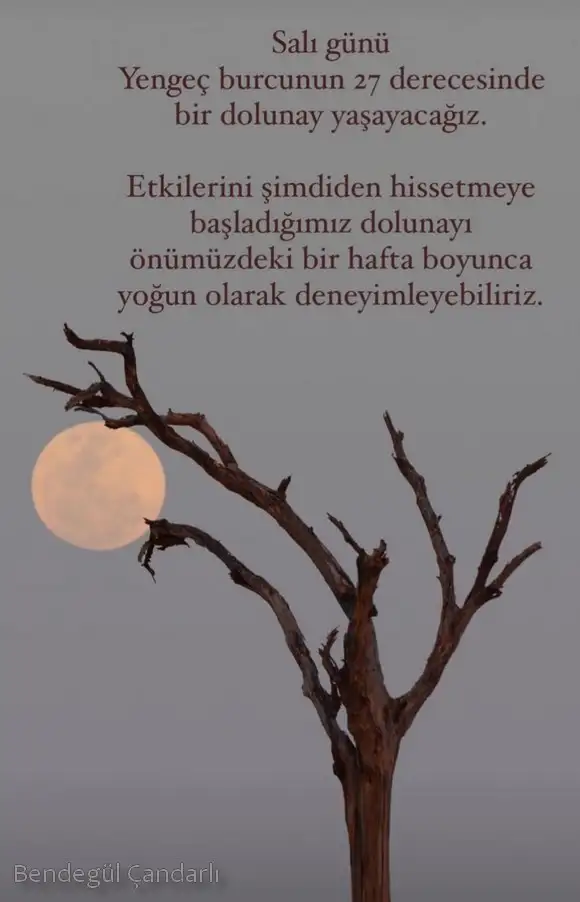 yengeç14 (1).webp