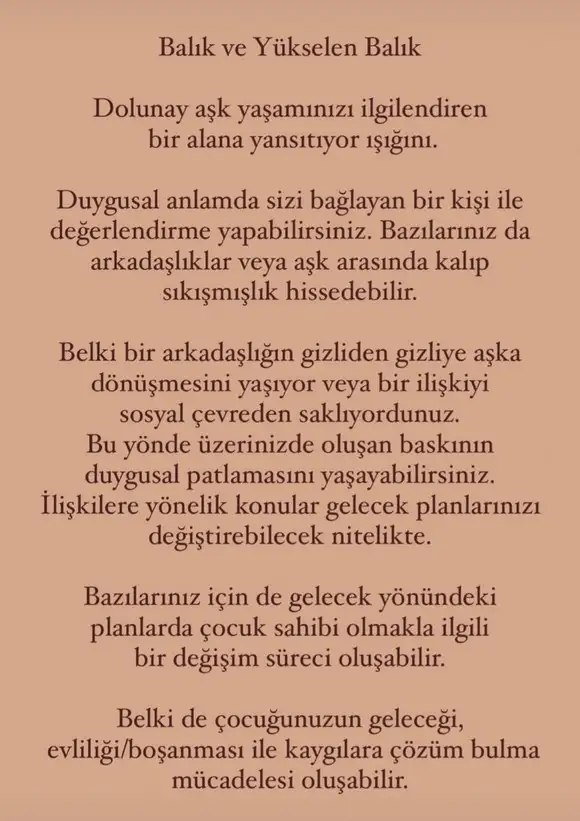 yengeç14 (13).webp