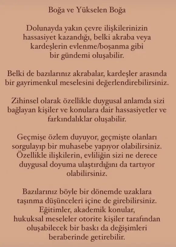 yengeç14 (3).webp