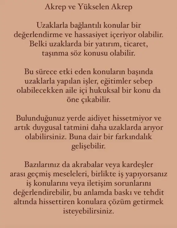 yengeç14 (9).webp