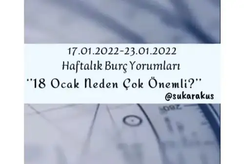 yengeç15 (1).webp