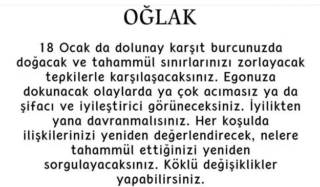 yengeç15 (11).webp